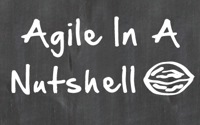 Agile nutshell titlepage
